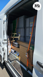 bfd16 von sunni bfd16 von sunni