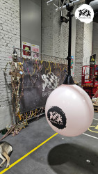 bfd16 von sunni bfd16 von sunni