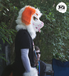 bfd16 von stoegi bfd16 von stoegi