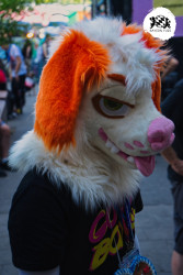 bfd16 von stoegi bfd16 von stoegi