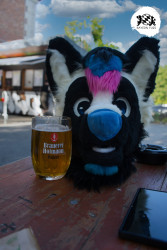 bfd16 von stoegi bfd16 von stoegi