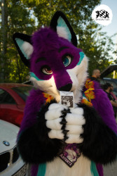 bfd16 von stoegi bfd16 von stoegi