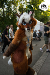 bfd16 von stoegi bfd16 von stoegi