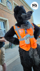 bfd16 von sunni bfd16 von sunni