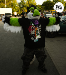 bfd16 von stoegi bfd16 von stoegi