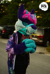 bfd16 von stoegi bfd16 von stoegi