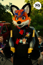 bfd16 von stoegi bfd16 von stoegi