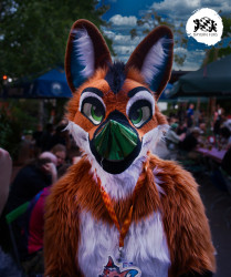 bfd16 von stoegi bfd16 von stoegi