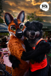 bfd16 von stoegi bfd16 von stoegi