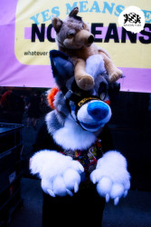 bfd16 von stoegi bfd16 von stoegi