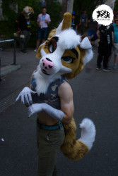 bfd16 von stoegi bfd16 von stoegi