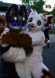 bfd16 von stoegi bfd16 von stoegi