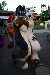 bfd16 von stoegi bfd16 von stoegi