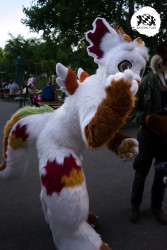 bfd16 von stoegi bfd16 von stoegi