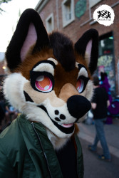 bfd16 von stoegi bfd16 von stoegi