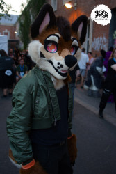 bfd16 von stoegi bfd16 von stoegi