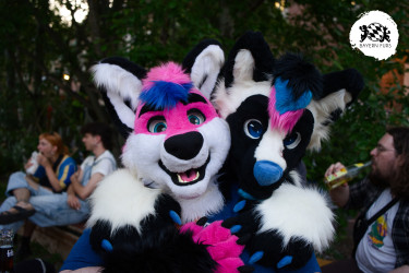 bfd16 von stoegi bfd16 von stoegi