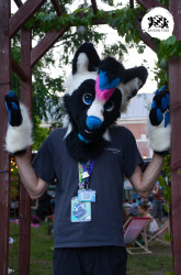 bfd16 von stoegi bfd16 von stoegi