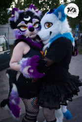 bfd16 von stoegi bfd16 von stoegi