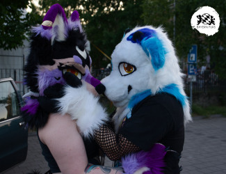 bfd16 von stoegi bfd16 von stoegi