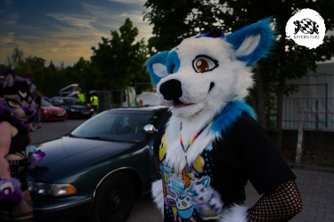 bfd16 von stoegi bfd16 von stoegi