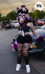 bfd16 von stoegi bfd16 von stoegi