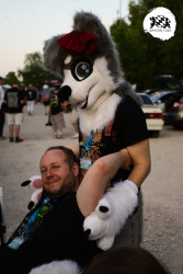 bfd16 von stoegi bfd16 von stoegi