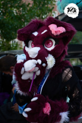 bfd16 von stoegi bfd16 von stoegi