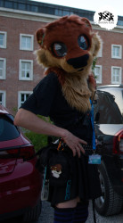 bfd16 von stoegi bfd16 von stoegi