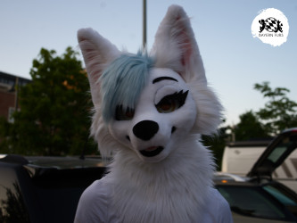 bfd16 von stoegi bfd16 von stoegi