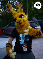 bfd16 von stoegi bfd16 von stoegi