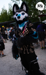 bfd16 von stoegi bfd16 von stoegi