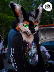 bfd16 von stoegi bfd16 von stoegi