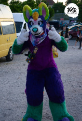 bfd16 von stoegi bfd16 von stoegi