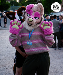 bfd16 von stoegi bfd16 von stoegi