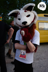 bfd16 von stoegi bfd16 von stoegi