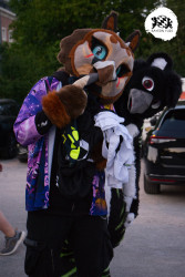 bfd16 von stoegi bfd16 von stoegi