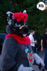 bfd16 von stoegi bfd16 von stoegi