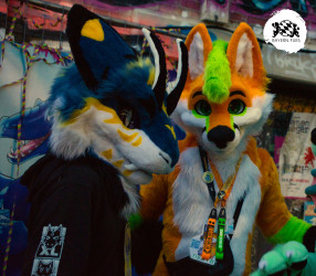 bfd16 von stoegi bfd16 von stoegi