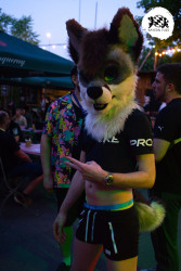 bfd16 von stoegi bfd16 von stoegi