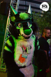 bfd16 von stoegi bfd16 von stoegi