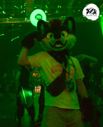 bfd16 von stoegi bfd16 von stoegi