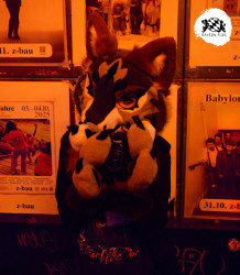 bfd16 von stoegi bfd16 von stoegi