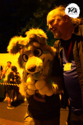 bfd16 von stoegi bfd16 von stoegi