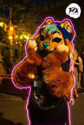 bfd16 von stoegi bfd16 von stoegi