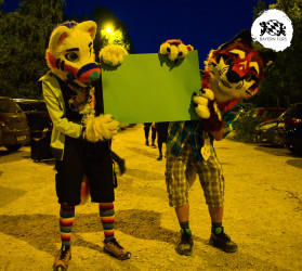 bfd16 von stoegi bfd16 von stoegi