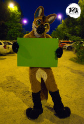 bfd16 von stoegi bfd16 von stoegi