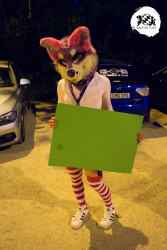 bfd16 von stoegi bfd16 von stoegi