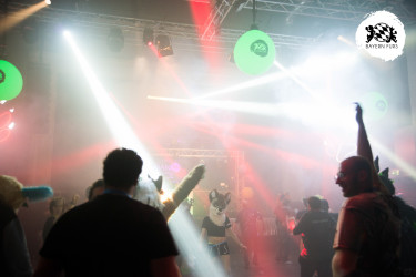 bfd16 von zip bfd16 von zip