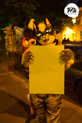 bfd16 von stoegi bfd16 von stoegi